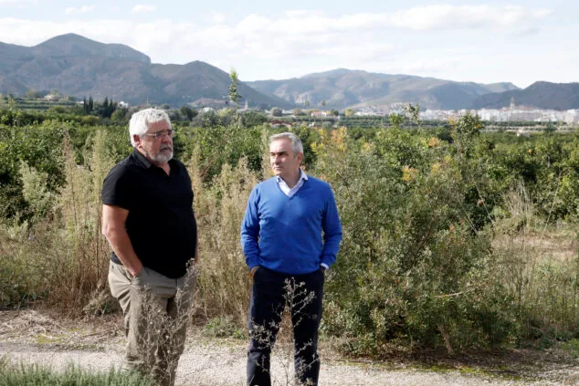 el conseller miguel barrachina visita pego 6