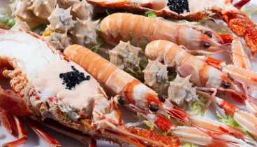 El encanto otoñal de Les Rotes con sabor a mar