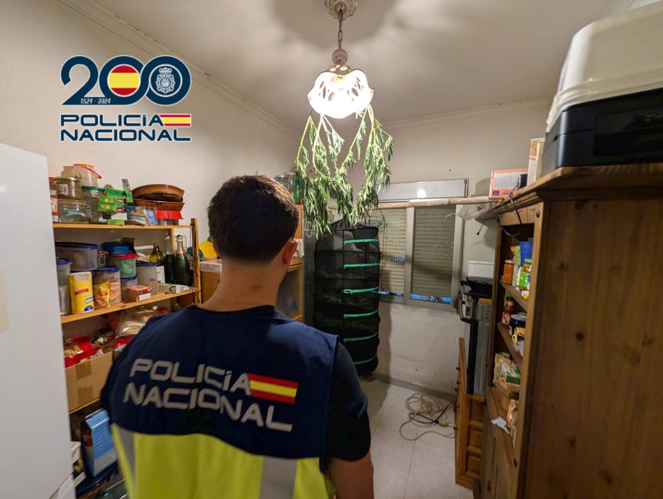 Interior de la casa en Ondara con una plantación de marihuana de grandes dimensiones