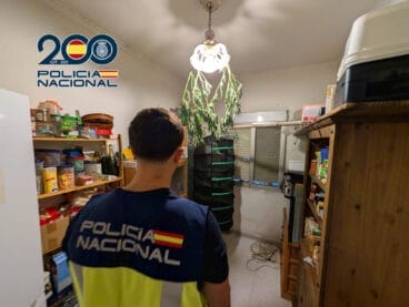 Interior de la casa en Ondara con una plantación de marihuana de grandes dimensiones