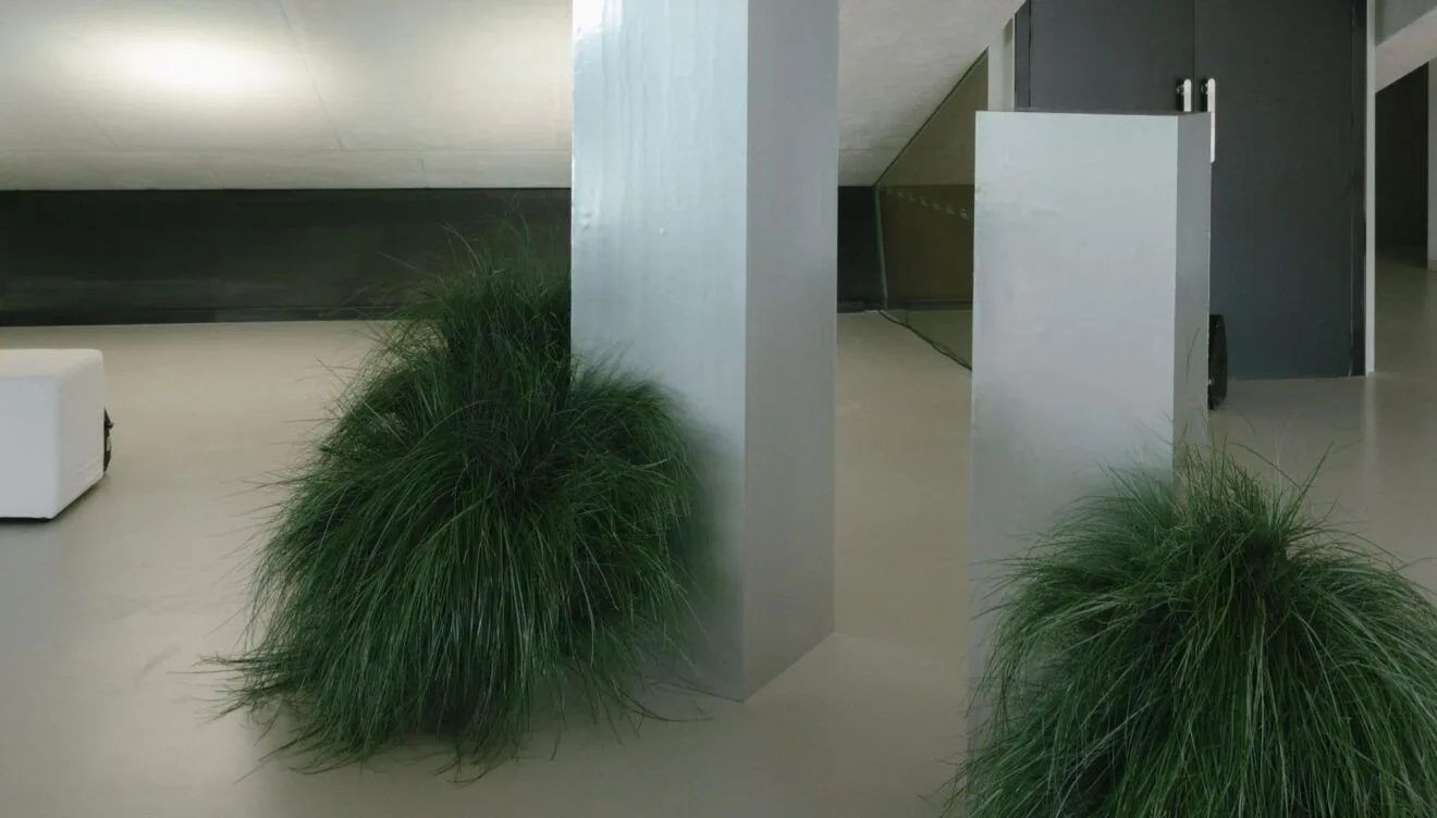 La luz del Mediterráneo en una ceremonia de alto diseño - Revista Vogue