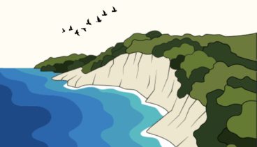 Vecinos y colectivos locales impulsan el movimiento «Salvemos nuestro litoral: STOP Patmore» para proteger la costa de Benissa 4 la plataforma salvemos nuestro litoral convoca a los vecinos para proteger el tossal de lasprar de la especulacion urbanistica 1