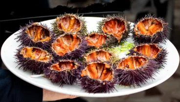 Menús especiales para celebrar la Navidad junto al Mediterráneo