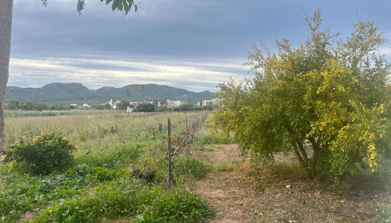 Recetas de la Marina Alta en un ambiente rural