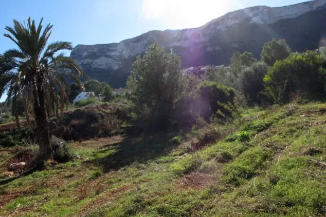 Afbeelding: Vertegenwoordigers van Compromís protesteren tegen de stilgelegde bouw van een tweede huis in Dénia op het lege perceel