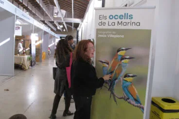 VIII Fira Marina Alta en Ondara 43