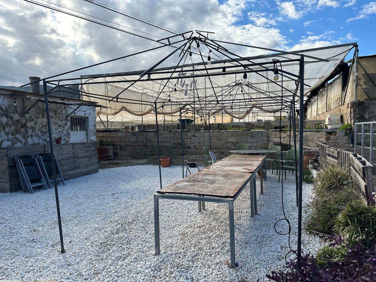 Viveros Parra, único productor de planteles de la comarca 27