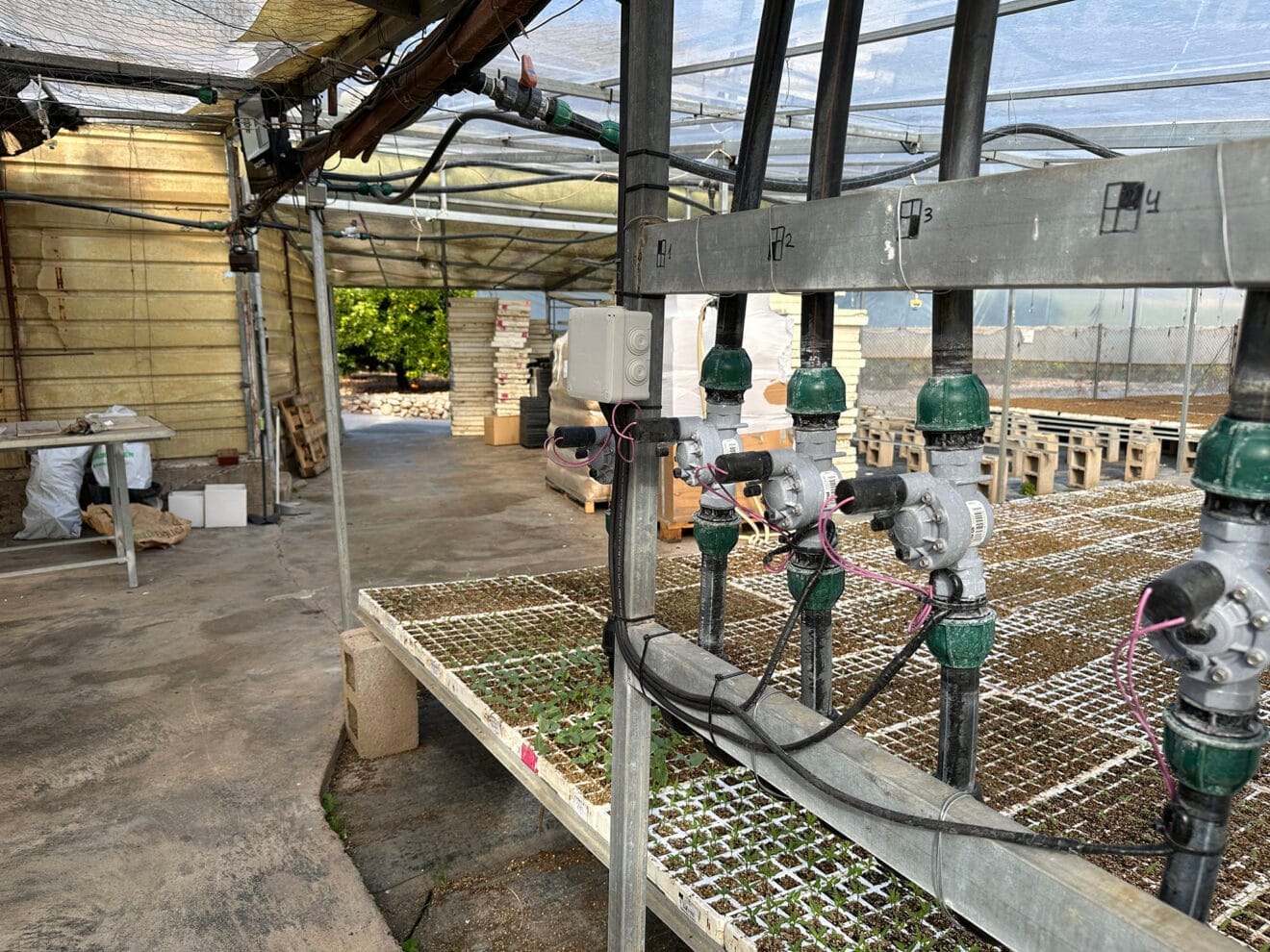 Viveros Parra, único productor de planteles de la comarca 38