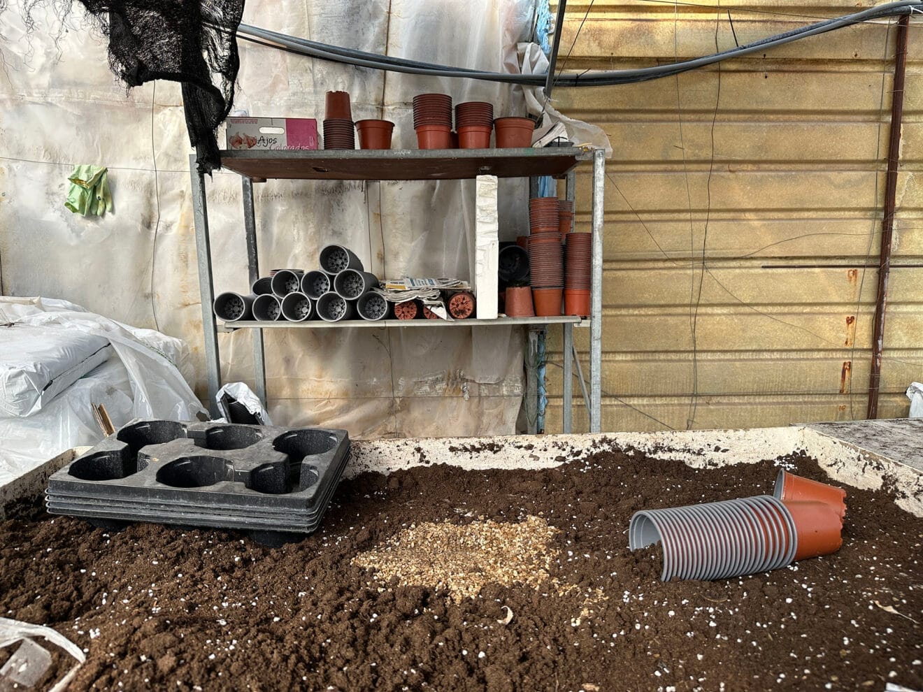 Viveros Parra, único productor de planteles de la comarca 53