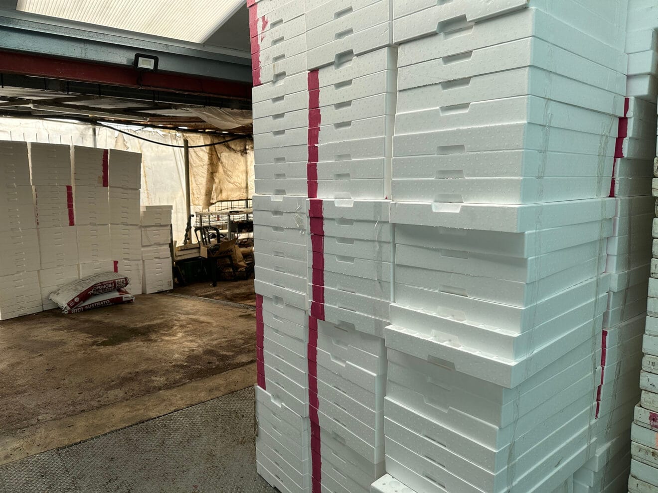 Viveros Parra, único productor de planteles de la comarca 54