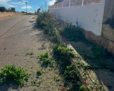 Eliminación de malas hierbas en Benitatxell