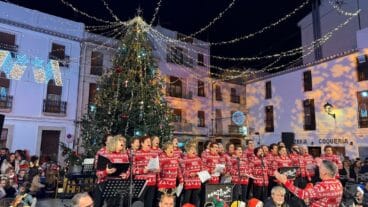 Encendido de luces de Benissa 14