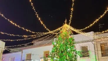 Encendido de luces de Benissa 24