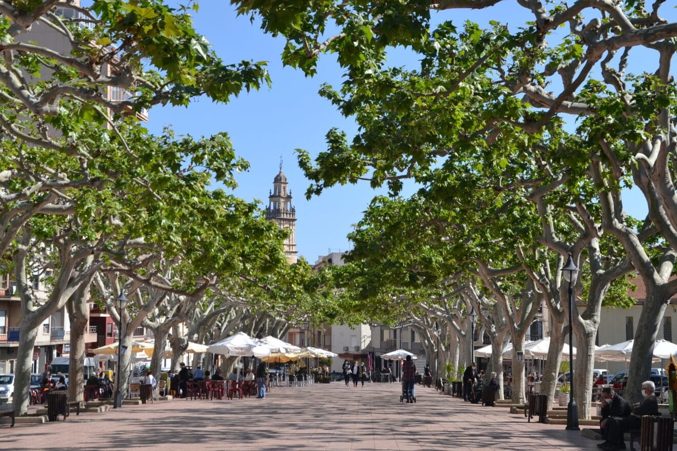 Passeig Cervantes de Pego