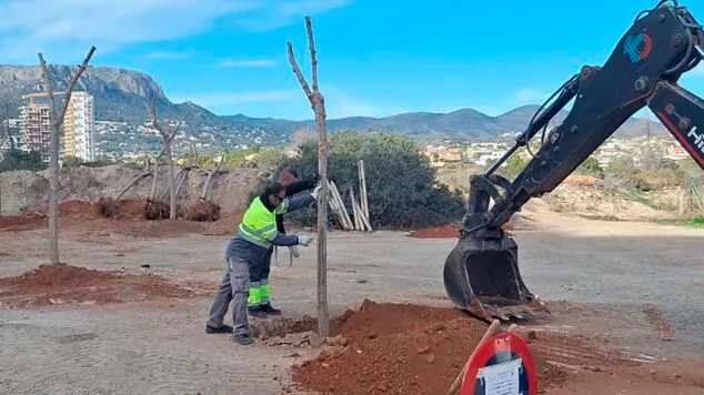Maulbeerplantage in den Salzebenen von Calpe