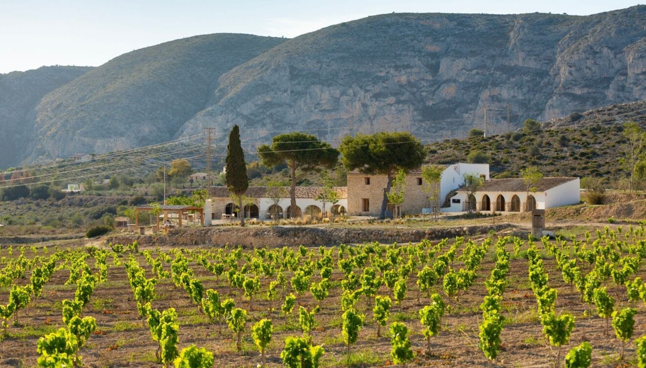 Sesión en Bodegas Montesanco, para capturar la tradición