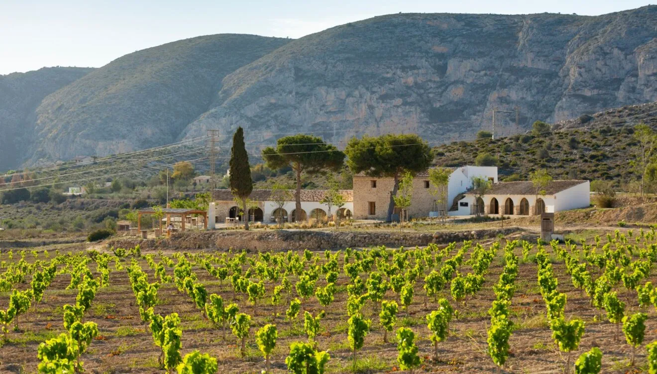 Sesión en Bodegas Montesanco, para capturar la tradición