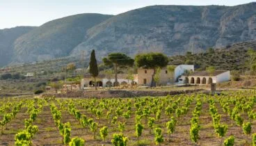 Sesión en Bodegas Montesanco, para capturar la tradición