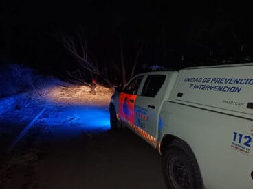Árboles caídos en una calzada de Calp