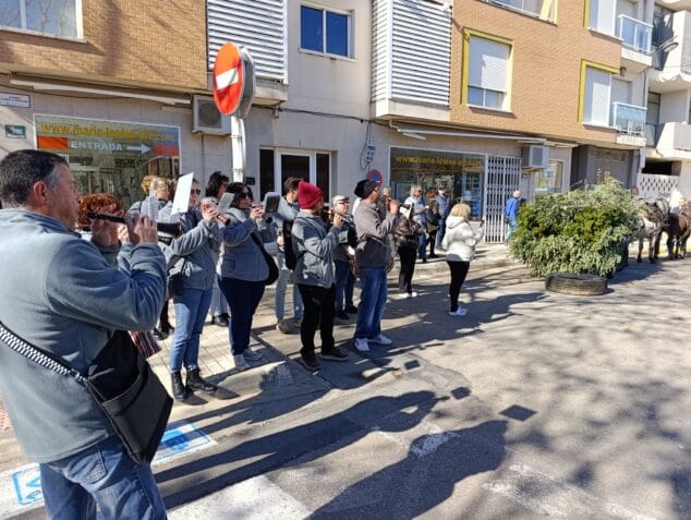 Imatge: Baixada de l'arbre a Ondara