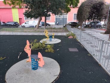 Consecuencias del temporal de viento en El Verger 05