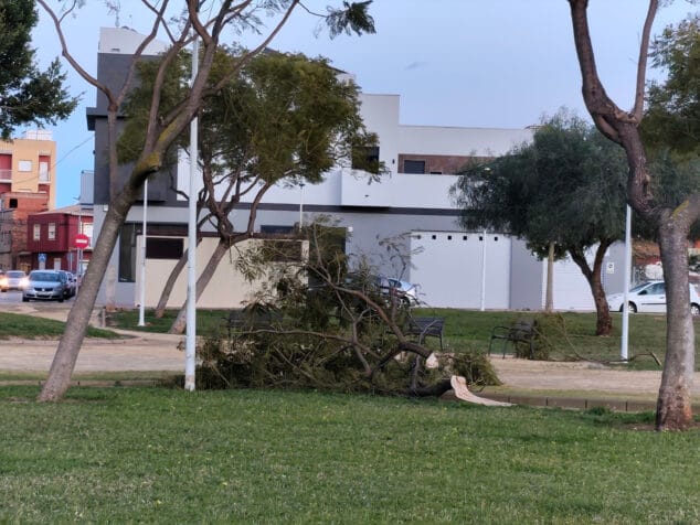 Consequences of the windstorm in Verger 09
