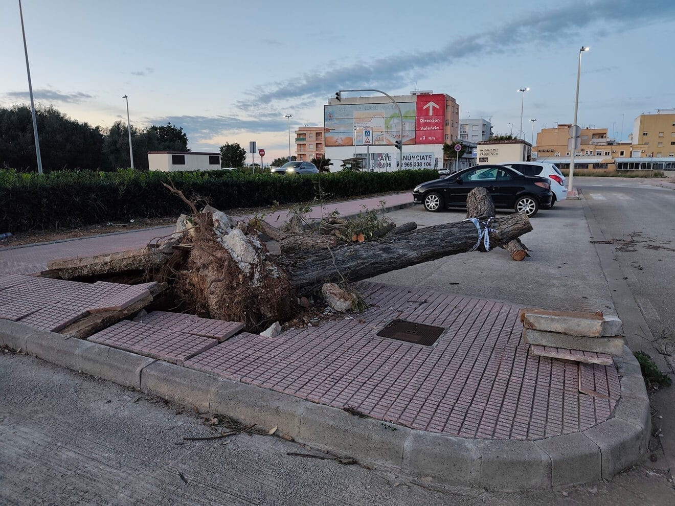 Consecuencias del temporal de viento en El Verger 11