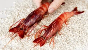 El sabor del Mediterráneo con gamba roja y vegetales frescos
