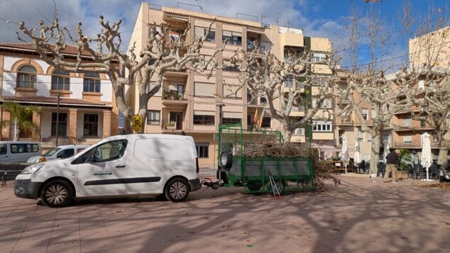 Imagen: Trabajos de poda en Pego