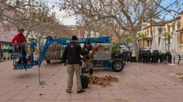 Operarios realizando las labores en Pego
