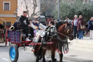 sant antoni 2026 (2)