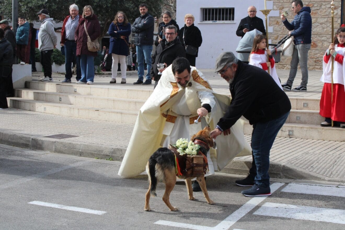 sant antoni 2026 (3)