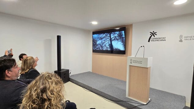 todo lo que esta bien esta en calp en fitur 2026 06