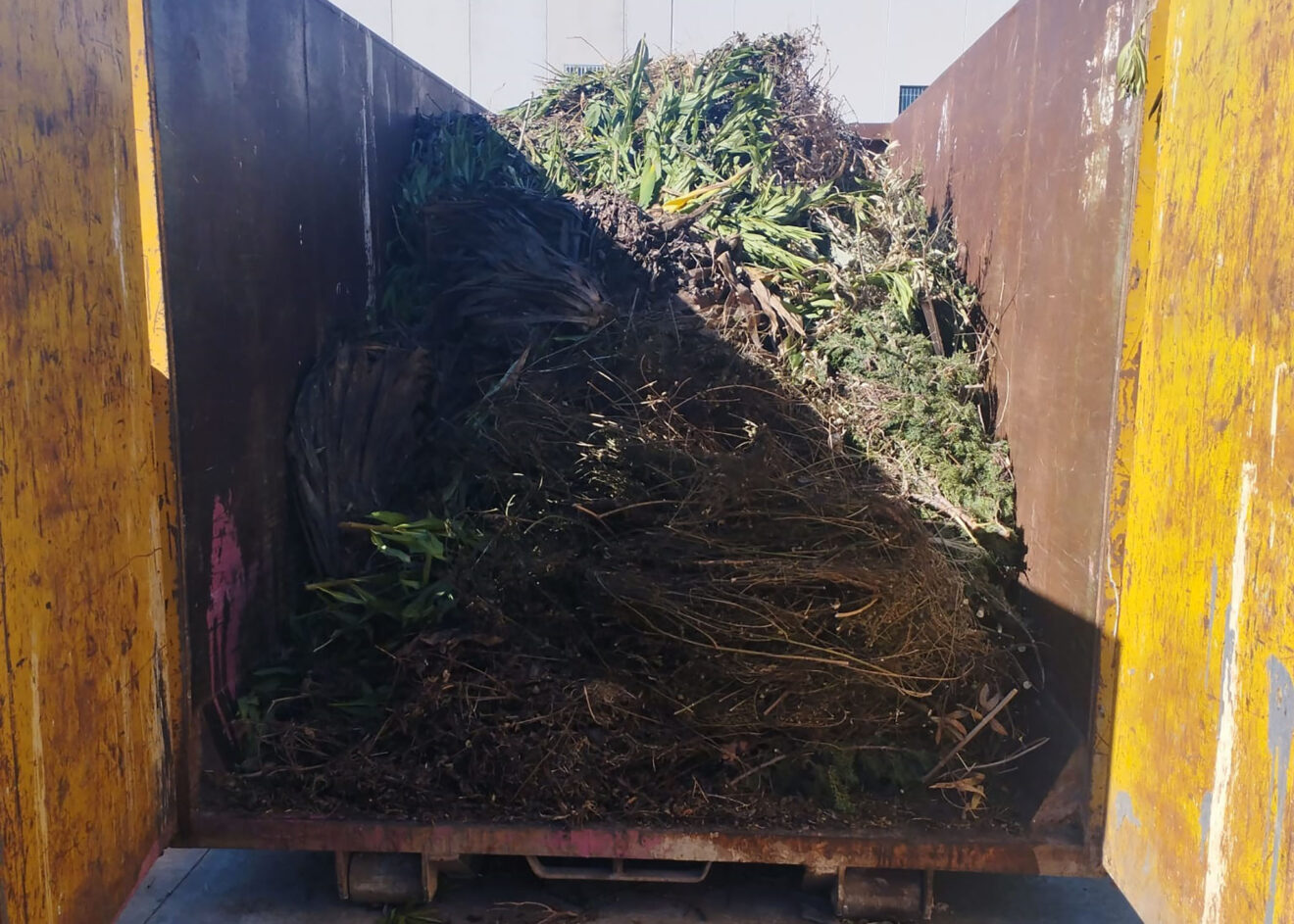 Ansammlung von Pflanzenresten, die in Pedreguer zur Behandlung und Kompostierung vorbereitet werden