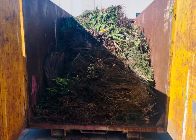 Imagen: Acumulación de restos vegetales preparados para su tratamiento y compostaje en Pedreguer