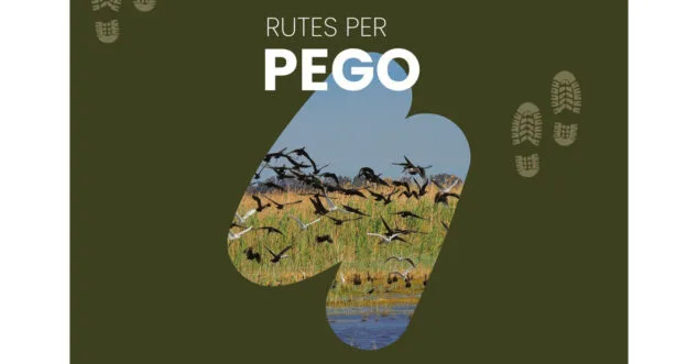 cartel ruta ornitologica por la marjal 1