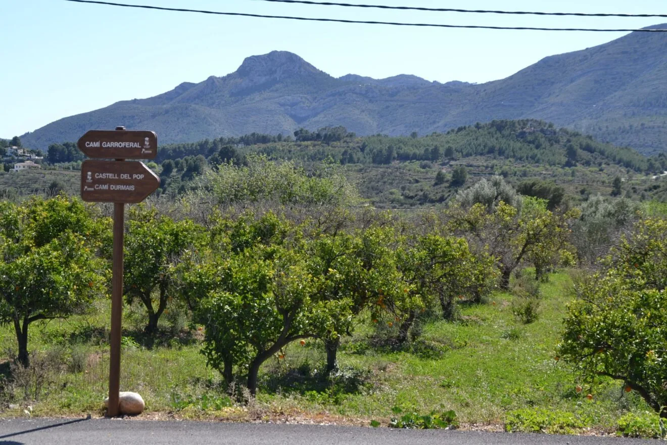 Entorno rural de Murla, en la Vall de Pop (archivo)