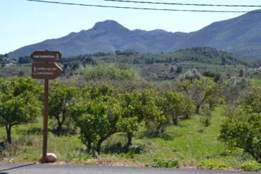 Entorno rural de Murla, en la Vall de Pop (archivo)