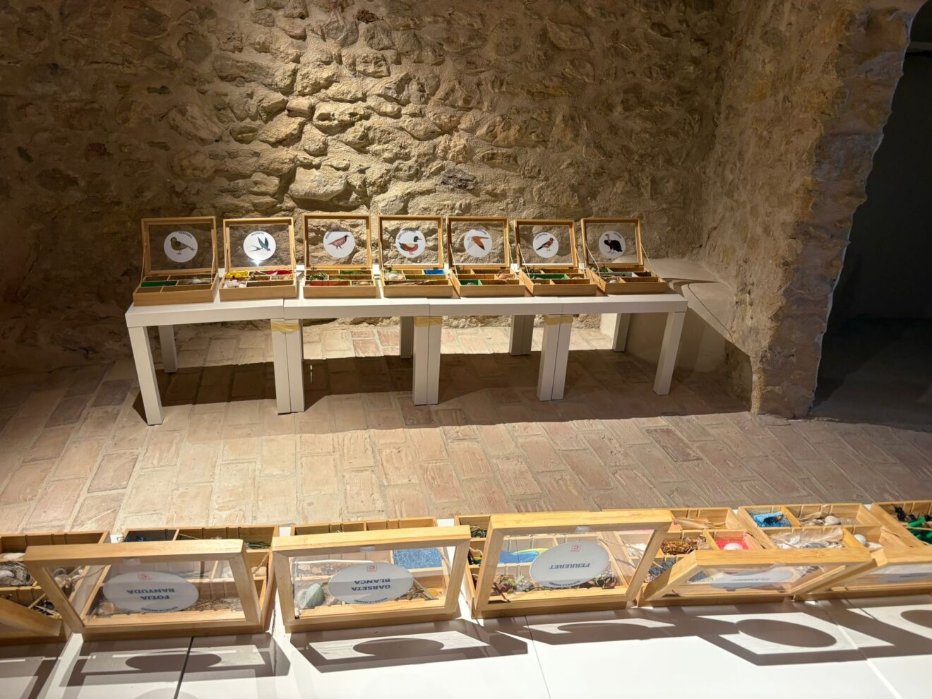 Montaje de la parte didáctica e interactiva de la exposició