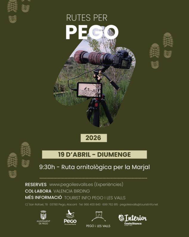 nueva ruta de aves en la marjal de pego