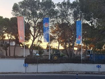 Panoramaansicht des Grundstücks, die Erdbewegungs- und Rodungsarbeiten zeigt, mit stehenden Kiefern am oberen Ende des Grundstücks