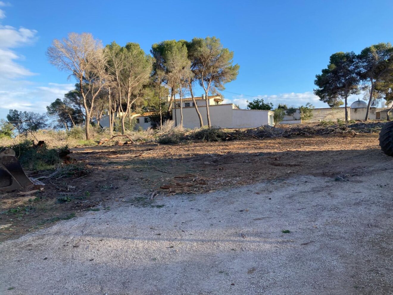 Patmore-Grundstück nach mehrtägiger Arbeit