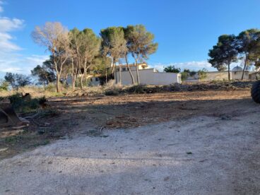 Patmore-Grundstück nach mehrtägiger Arbeit