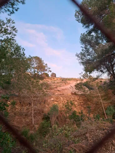 Salvem el Litoral aporta imágenes de desbroces y movimientos de tierra en el ámbito del proyecto urbanístico Patmore