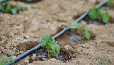 Soluciones de riego y bombeo agrícola profesional