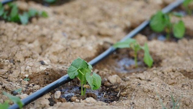 professionelle landwirtschaftliche Bewässerungs- und Pumplösungen