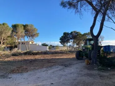 terreno desbrozado y removido restos de troncos y ramas y solo algunos pinos en pie junto a la vivienda