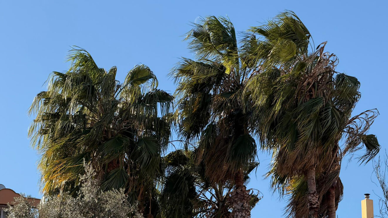 Viento en la Marina Alta