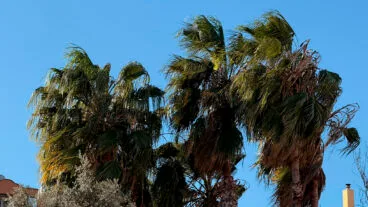 viento en la marina alta