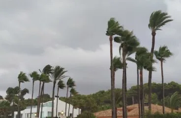 viento en xabia archivo